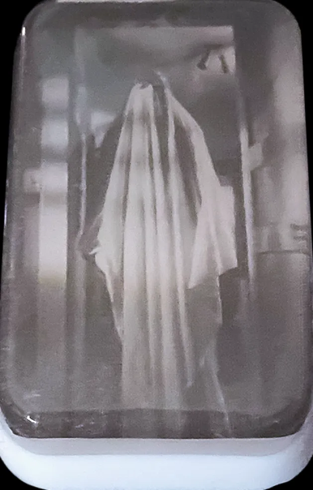 Halloween 1978 - Michael Myers Bob the Ghost Soap 2.75oz