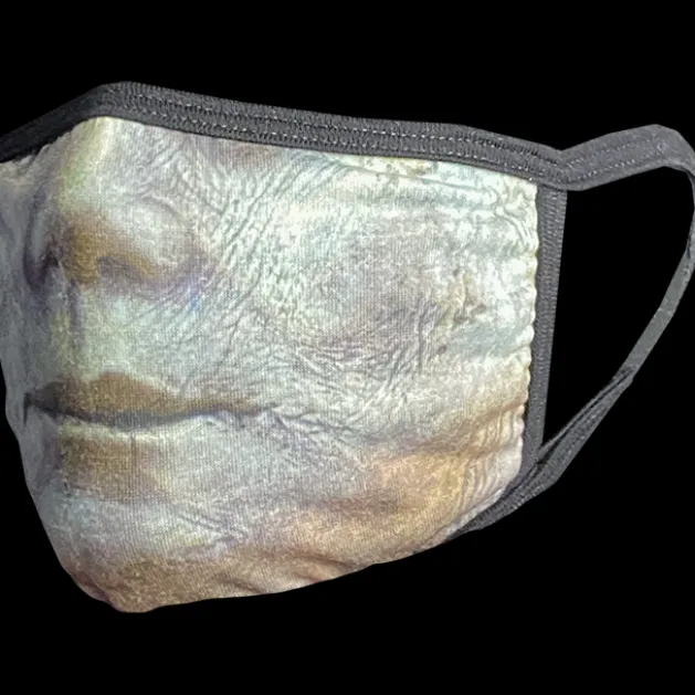 PPE Mask - Halloween (2018) - Michael Myers